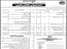 Sindh Environment Climate Change And Coastal Development Jobs 18 February 2020
