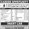 Smart Move Consultants Private Ltd Jobs 02 February 2020
