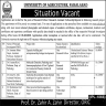 University of Agriculture Faisalabad Jobs 21 February 2020