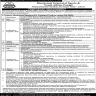 Directorate General Of Sports And Youth Affairs Punjab Jobs 19 March 2020