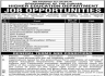 Higher Education Department Govt Of Punjab Jobs 03 March 2020