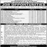 Higher Education Department Govt Of Punjab Jobs 03 March 2020