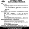 Higher Education Department Govt Of The Punjab Jobs 13 March 2020