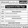 Information Technology University Jobs 17 March 2020