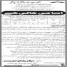 Khalasi Required In Irrigation Department Govt Of Sindh Jobs 15 March 2020