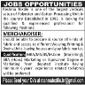 Merchandiser Required In Reshma Textile Jobs 01 March 2020