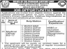 Peoples Primary Healthcare Initiative PPHI Gilgit-Baltistan Jobs 22 March 2020