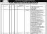 Population Welfare Department Govt Gilgit-Baltistan Jobs 01 March 2020