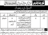 Provincial Consumer Protection Council Jobs 21 March 2020