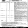 Punjab Institute Of Neurosciences PINS Jobs 18 March 2020