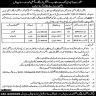 Regional Training Institute Population Welfare Department Jobs 06 March 2020