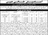Tehsil Municipal Administration Mir Ali Jobs 29 March 2020