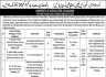 University of Agriculture Faisalabad Jobs 20 March 2020