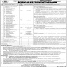 University Of Health Sciences UHS Jobs 14 March 2020