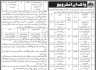 Walk In Interview In Health Department Govt of Sindh Jobs 06 March 2020