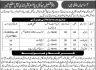 Walk In Interview In Municipal Administration Landi Kotal District Khyber Jobs 06 March 2020