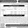 Walk In Interview In Municipal Administration Landi Kotal District Khyber Jobs 06 March 2020