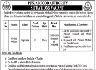 Walk In Interview In Punjab Food Authority Govt of Punjab Jobs 13 March 2020