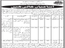 Women Development Department Govt of Sindh Jobs 23 March 2020