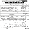 Asar E Qadima Govt Of Punjab Jobs 26 April 2020