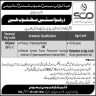 Headquarter Special Communication Organization SCO Jobs 27 April 2020