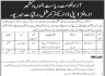 Office Of Deputy Director Electricity Azad Jammu and Kashmir Jobs 30 April 2020