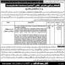 PHSD Disteict Health Authority Hafizabad Jobs 29 April 2020