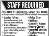 Amna Inayat Medical College Kishwar Fazal Hospital Jobs 17 May 2020