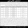 Education Department Additional District Education Officer Peshawar Jobs 20 May 2020