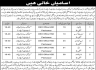 Education Department Additional District Education Officer Peshawar Jobs 21 May 2020