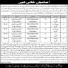 Education Department Additional District Education Officer Peshawar Jobs 21 May 2020