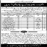 Irrigation Department Drainage Division Lahore Jobs 01 May 2020