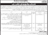 Planning And Development Department Govt Of Sindh Jobs 15 May 2020