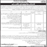 Planning And Development Department Govt Of Sindh Jobs 15 May 2020