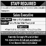 Sales Executive Required In Well Reputed Company In Rawalpindi Jobs 31 May 2020