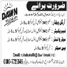 Staff Required In Dawn Bread Unit Lahore Jobs 31 May 2020
