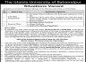 The Islamia University Of Bahawalpur Jobs 08 May 2020 The Islamia University Of Bahawalpur Jobs