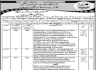 Communication and Works C&W Department Govt Of Azad Jammu and Kashmir Jobs 13 June 2020