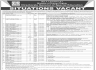 Ministry Of Human Rights Govt Of Pakistan Jobs 11 June 2020