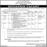 Pakistan Govt Agriculture Policy Institute Jobs 05 June 2020