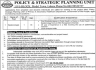 Policy And Strategic Planning Unit Govt Of Punjab Jobs 04 June 2020