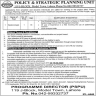 Policy And Strategic Planning Unit Govt Of Punjab Jobs 04 June 2020