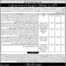 Punjab Land Records Authority PLRA Jobs 04 June 2020