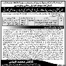 Sanitary Petrol Required In District Health Authority DHA Mandi Bahauddin Jobs 29 June 2020