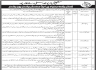 Shaikh Ayaz University Shikarpur Jobs 03 June 2020