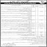 Shaikh Ayaz University Shikarpur Jobs 03 June 2020