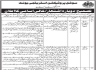 Social Protection Strategy Unit Govt Of Sindh Jobs 10 June 2020