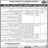 Social Protection Strategy Unit Govt Of Sindh Jobs 10 June 2020
