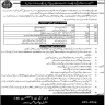 Traffic Assistant Required In Punjab Police Traffic Wardens Service Jobs 24 June 2020