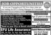 Consultants EFU Life Assurance Jobs 14 July 2020